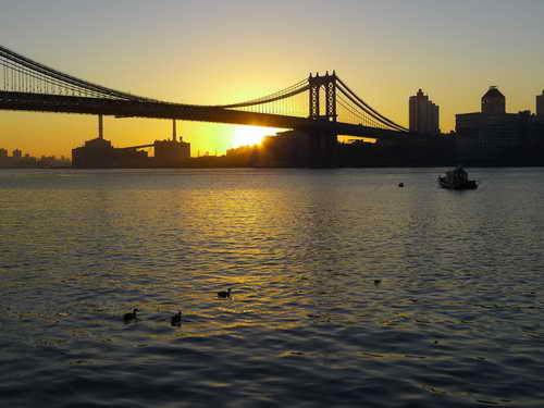 NYC_2012-11-23 07-15-33_P1070633